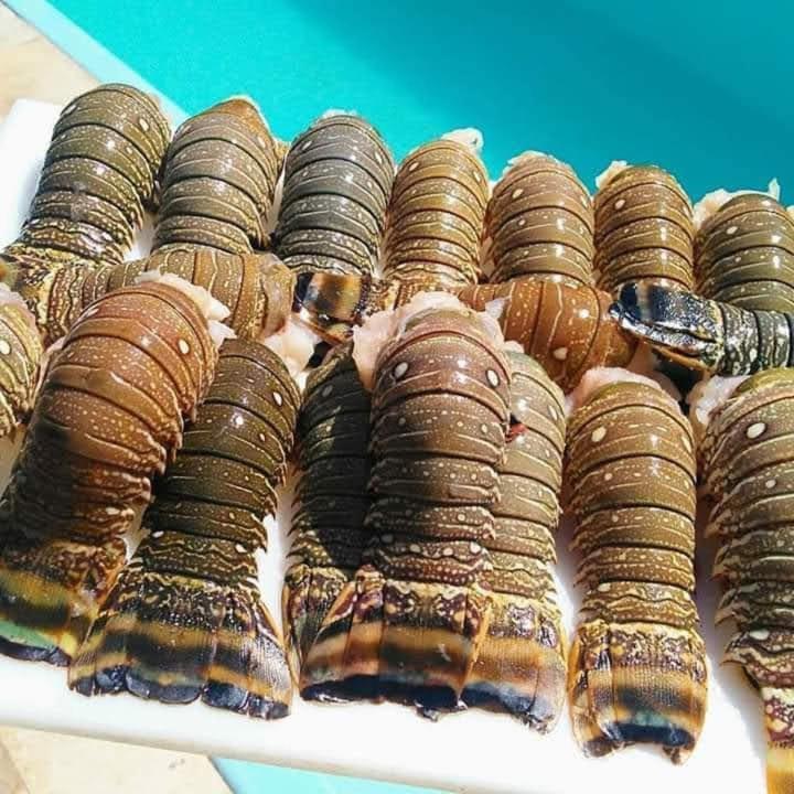 Pousada A Vida E Bela Águas Belas Exterior foto